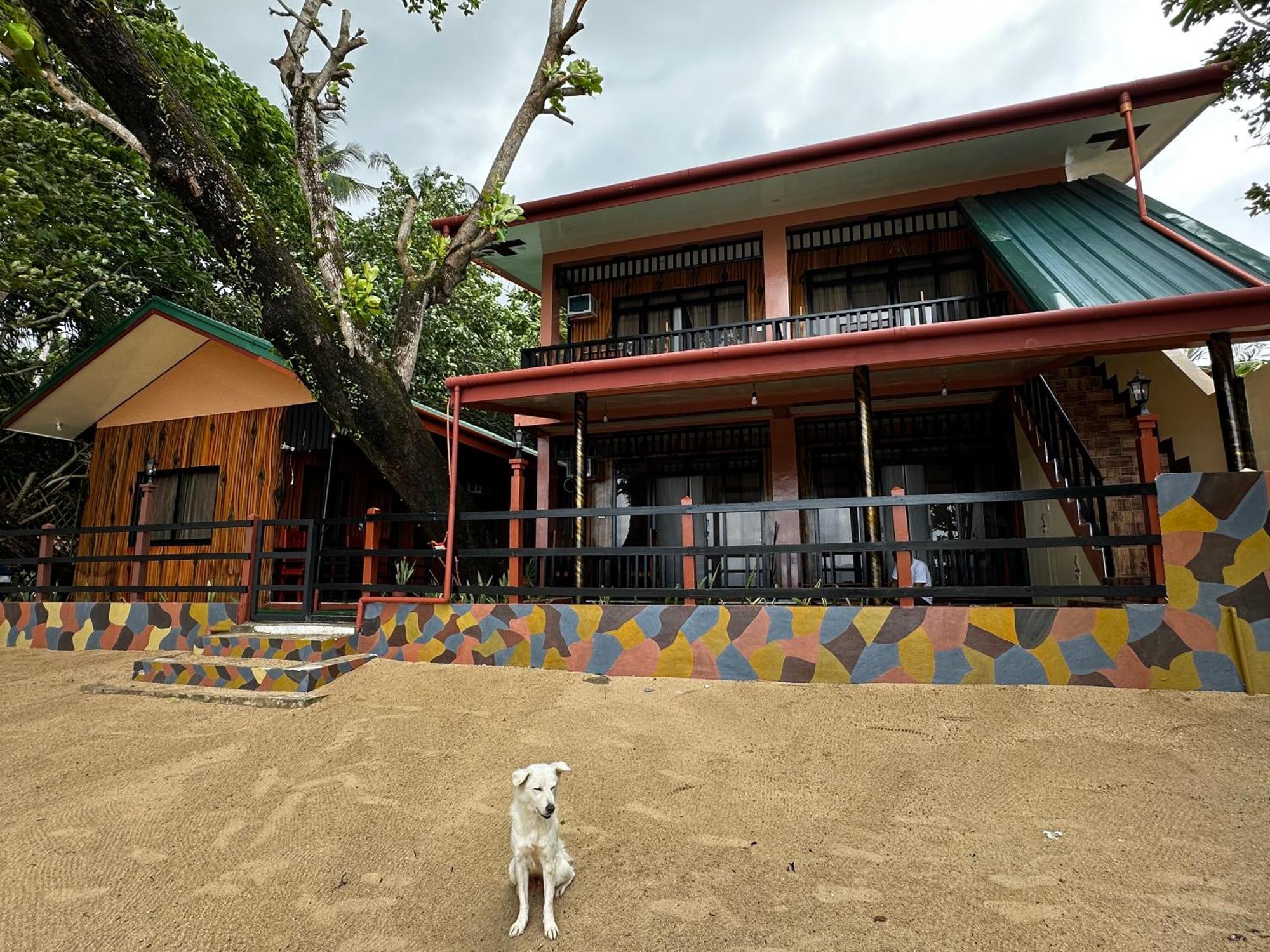 Fabregas Beach Cottages El Nido Eksteriør billede